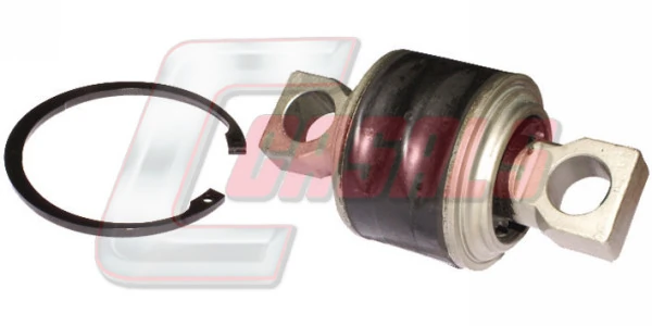 R7451 Casals