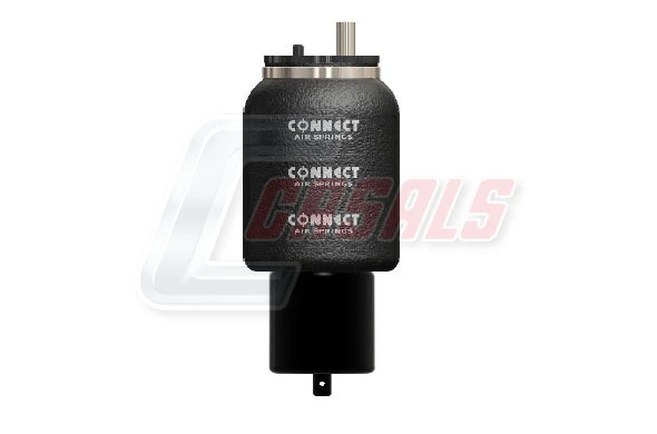 B2219 Casals