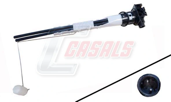 65848 Casals