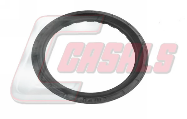 20313 Casals