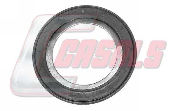 20310 Casals