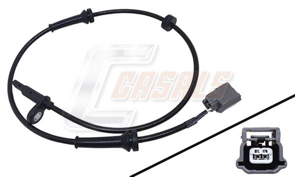 50663 Casals