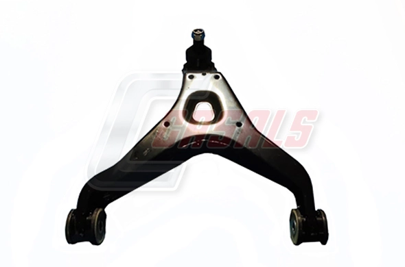 R0118 Casals