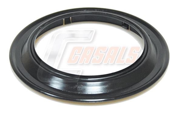 20296 Casals