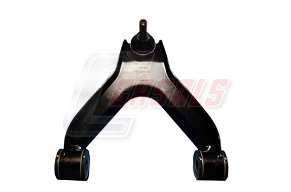 R0115 Casals