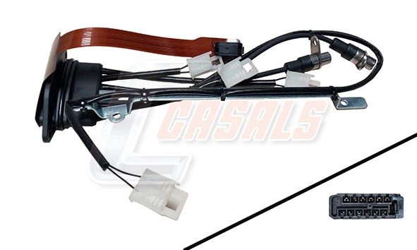 50594 Casals