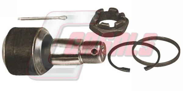 R7462 Casals