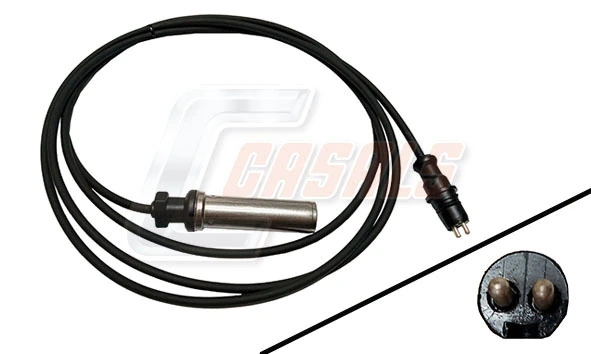 50658 Casals