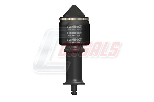 B2248 Casals