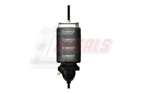 B2274 Casals