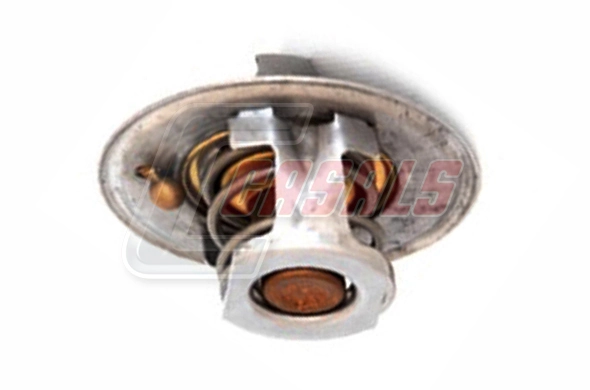 Termostato 8973007872 General Motors