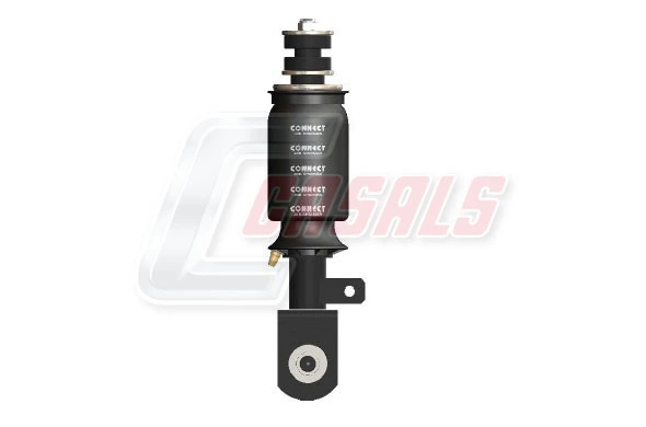 B2251 Casals