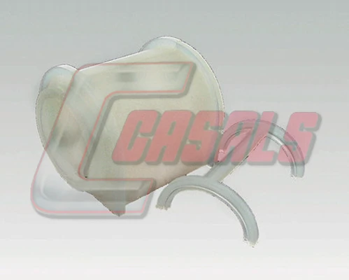 6469 Casals