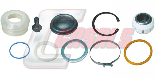 R7193 Casals