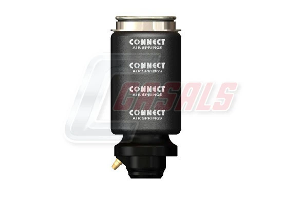B2239 Casals