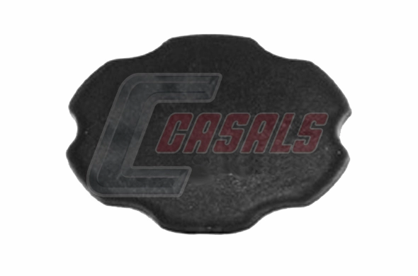 13100 Casals