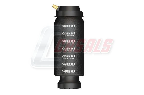 B2266 Casals