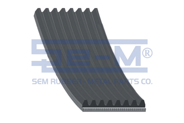 Correa de transmisión trapezoidal Dayco 8PK985 precio, desde 15,21 EUR