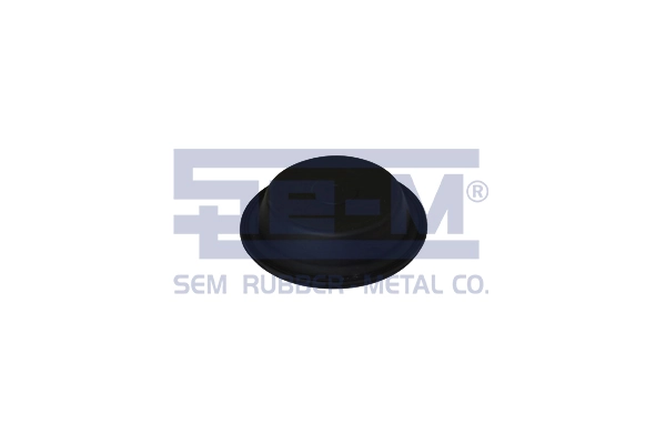 15883 SEM