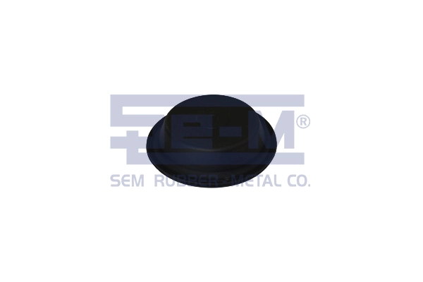 15877 SEM