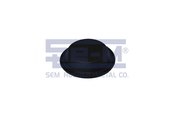 15871 SEM