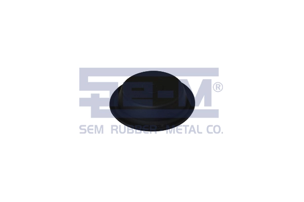15881 SEM