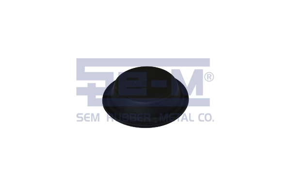 15875 SEM