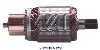 618211 WAI