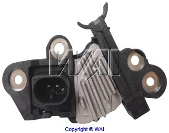 IB6137 WAI