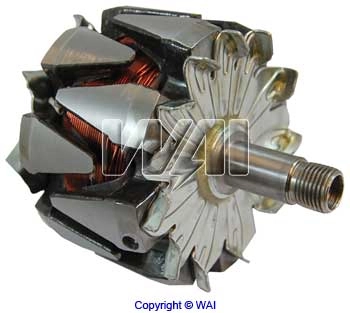 330113 Cargo Rotor del alternador