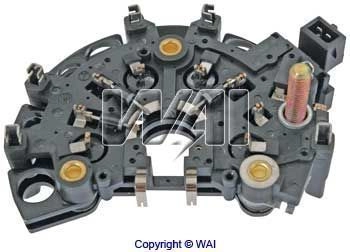 IBR501 WAI