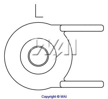 IB248 WAI