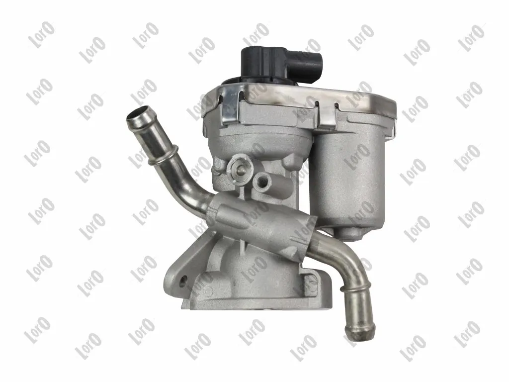 Comprar 182365 Cargo Válvula EGR