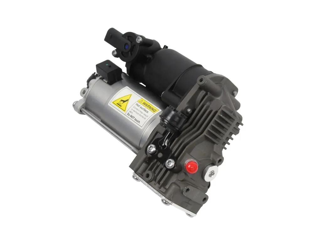 Compresor de suspensión neumática Arnott P3722 precio, desde 451,82 EUR