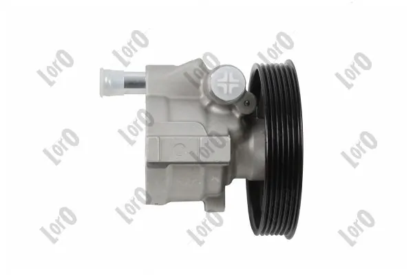 Bomba de dirección asistida  Lada 491100522R precio, desde 83,06 EUR