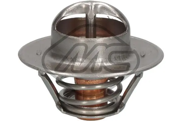 31289 Metalcaucho