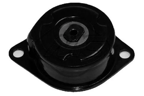 Comprar Tensor de correa poli V  Toledo I 1L