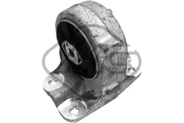 57013 Metalcaucho