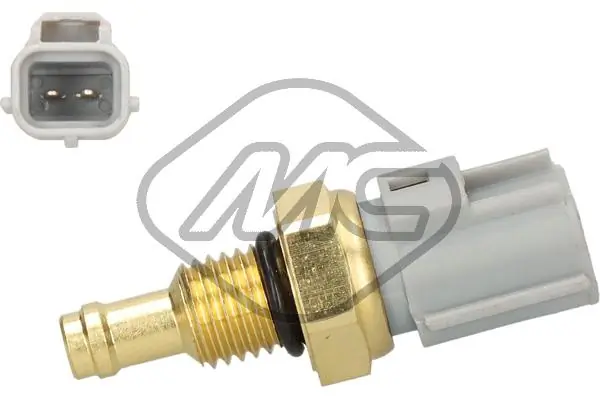 50557 Metalcaucho