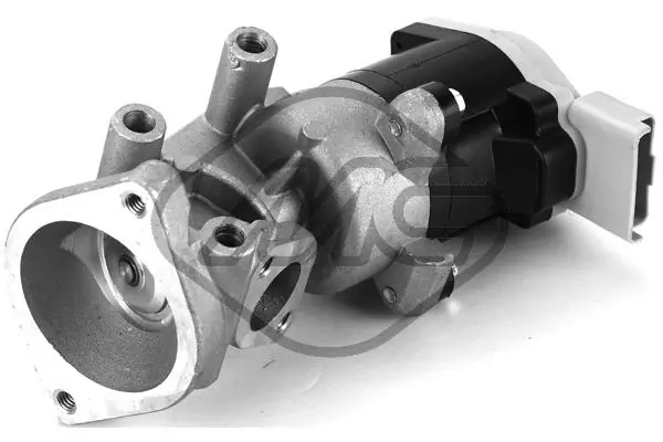 93066 Metalcaucho
