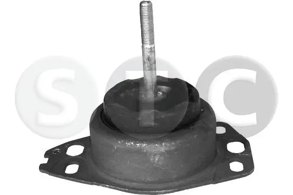 T405583 STC