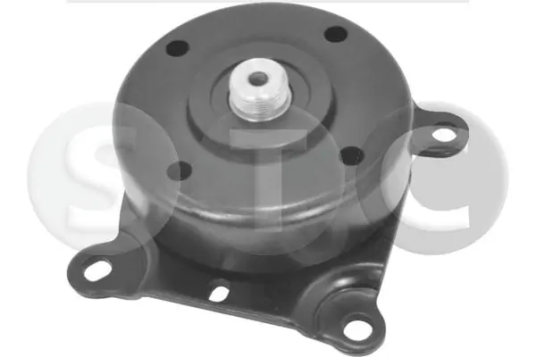 T449335 STC
