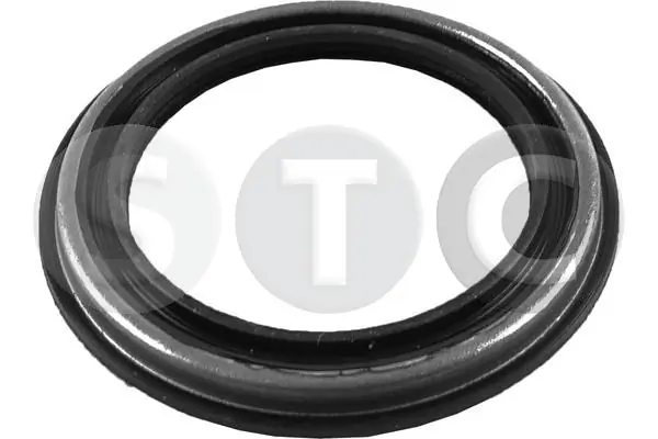 T439365 STC
