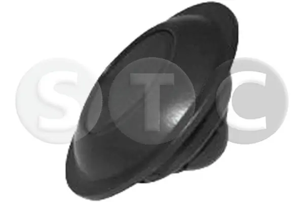 T493875 STC
