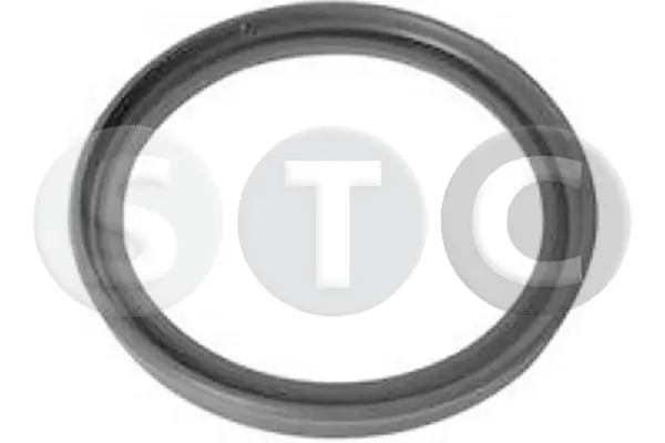 T479284 STC
