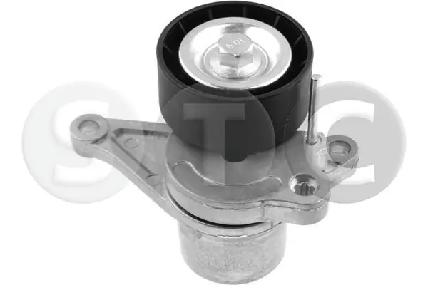 Tensor de la correa trapecial poli v Renault Scenic II (JM0, JM1)