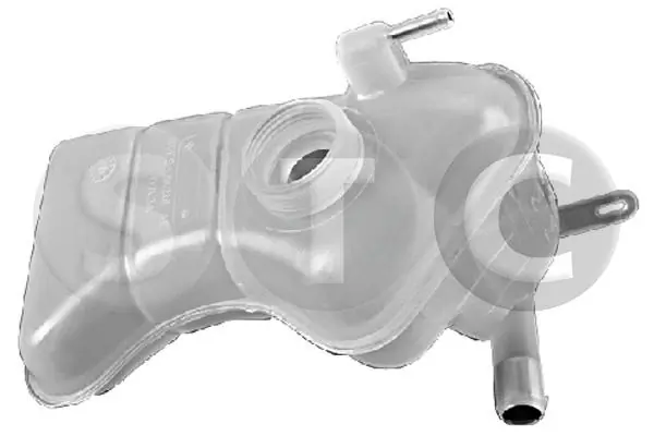Botella expansion Ford Fiesta Mk1 hatchback (GBFT) (1976 - 1983) precio, desde 29,72 EUR