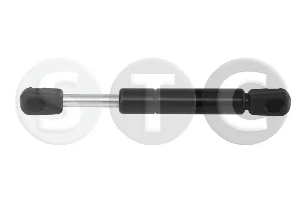 Muelle neumatico maletero Megane I descapotable (1996-2003) original desde 19,54 €