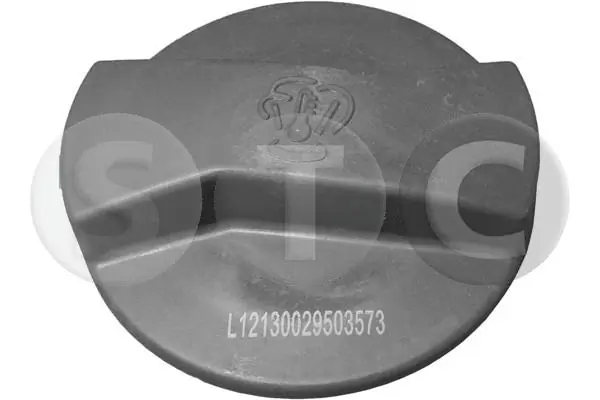 Comprar Tapón depósito de refrigerante Cayenne  955