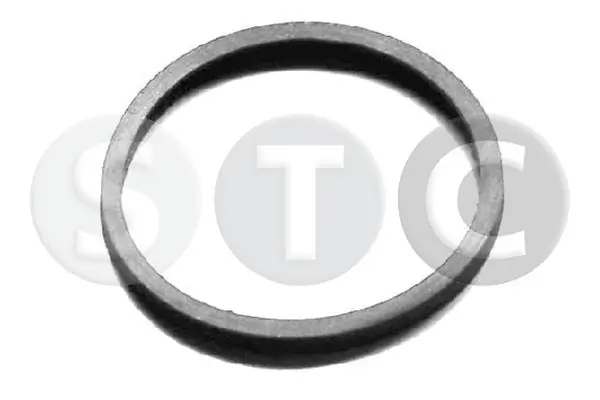 Comprar Junta de termostato Dacia Duster  HS
